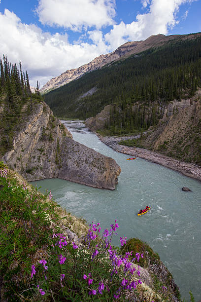 istock Four young paddlers paddle a river in Northern Canada 589958532