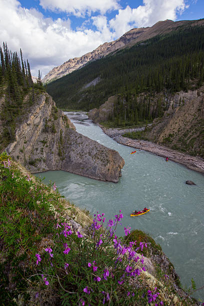 istock Four young paddlers paddle a river in Northern Canada 589958692