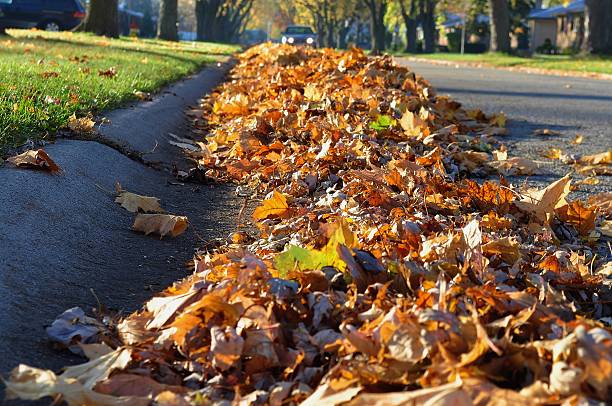 heap of leaves along the street curb. - skräpig trädgård hus bildbanksfoton och bilder