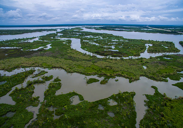 Wetlands Marsh Delta near Texas Louisiana Border Swamp Wetlands Marsh Delta near Texas Louisiana Border Aerial drone shot over Lost Lake and Found River area  freshwater photos stock pictures, royalty-free photos & images