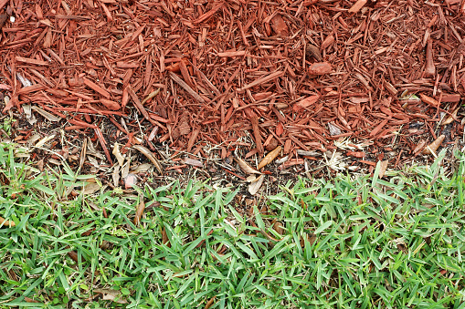 Detail of grass area next to mulch wood chip area on a landscaped lawn