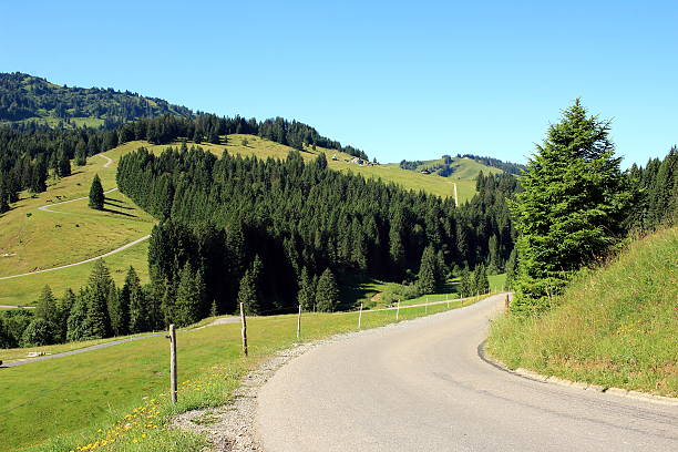 bergstraße - alm bavaria mountain summer fotografías e imágenes de stock