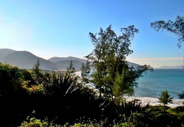 istock Siriu Beach , SC , Brazil sea between vegetation and mountains 589966224