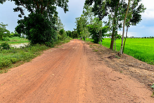 istock Dirt Street nearby the Rice Cornfield 589966536