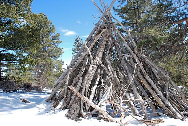 istock Pile Burning Wood Stack - Lily Mountain, Colorado 589966938