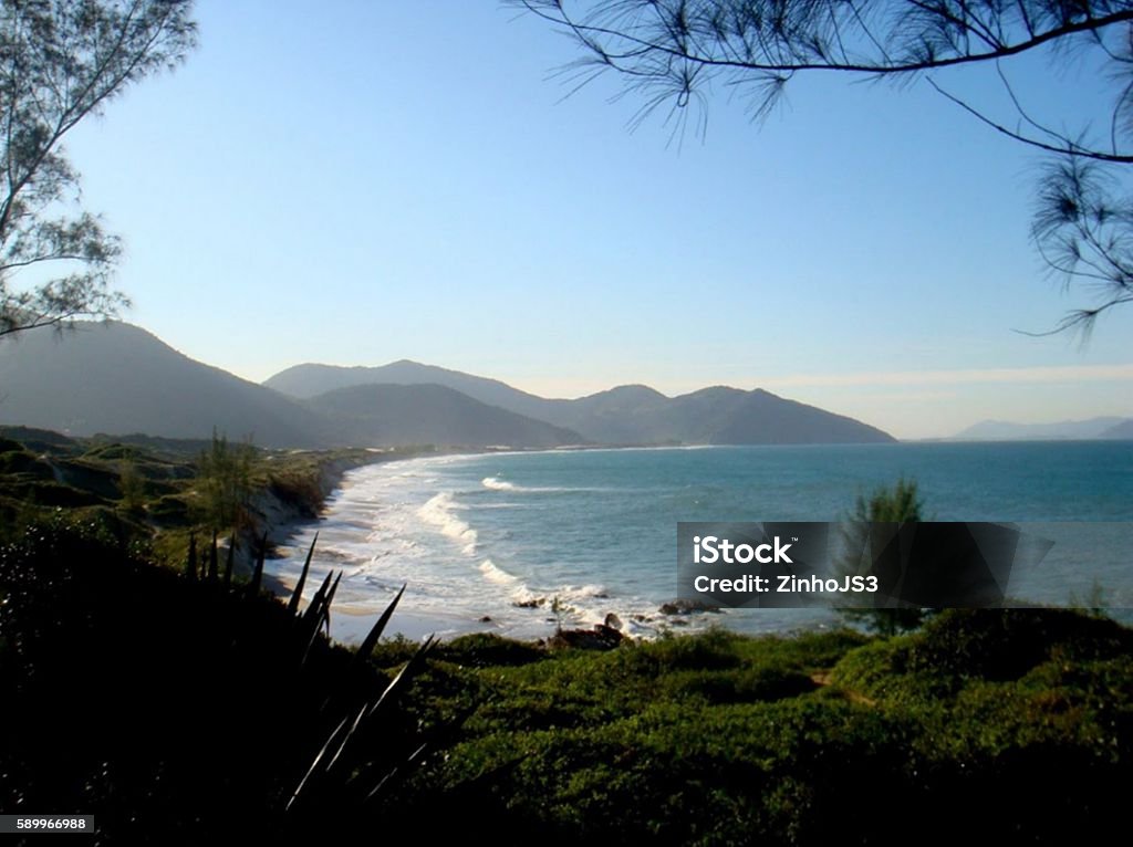 Siriu Beach , SC , Brazil blue sky Sea spectacular front of a nature with rare beauty Beauty In Nature Stock Photo