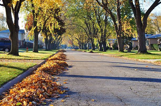 foto de otoño de la calle y las pilas de hojas. - boulevard fotografías e imágenes de stock