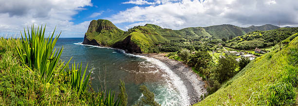 panoramabild eines hawaiianischen strandes - honolulu oahu vacations park stock-fotos und bilder