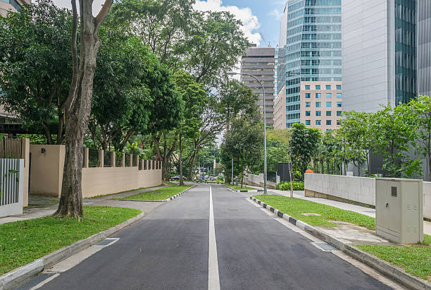 vista del quartiere della strada della città con alberi verdi - singapore street business sky foto e immagini stock