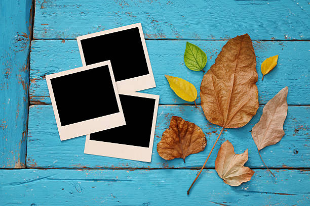 istock Autumn background with dry leaves and blank photo frames 589969172