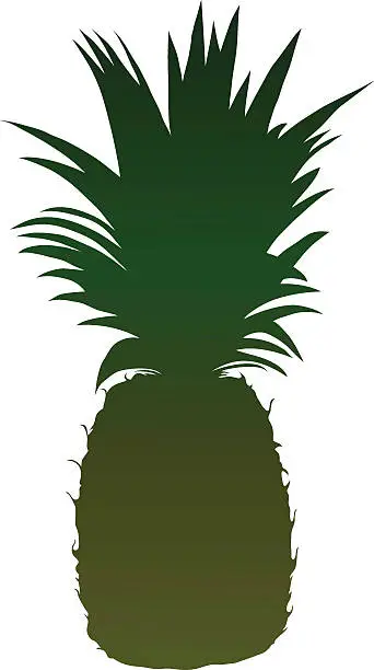 Vector illustration of Pineapple
