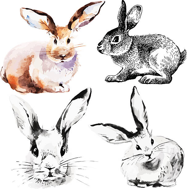 bildbanksillustrationer, clip art samt tecknat material och ikoner med set of easter rabbits - easter vintage