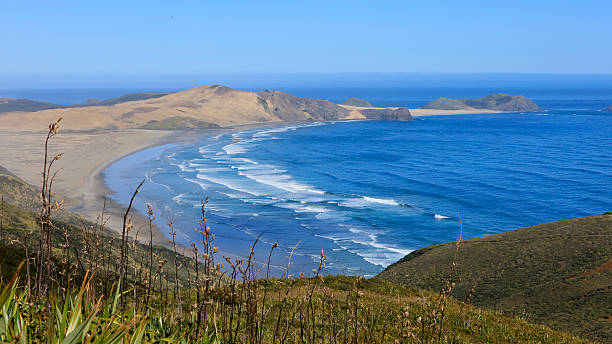 istock Cape Reinga, New Zealand 589970474