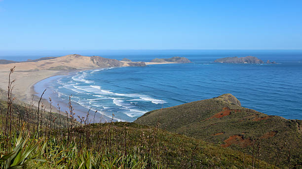 istock Cape Reinga, New Zealand 589970916