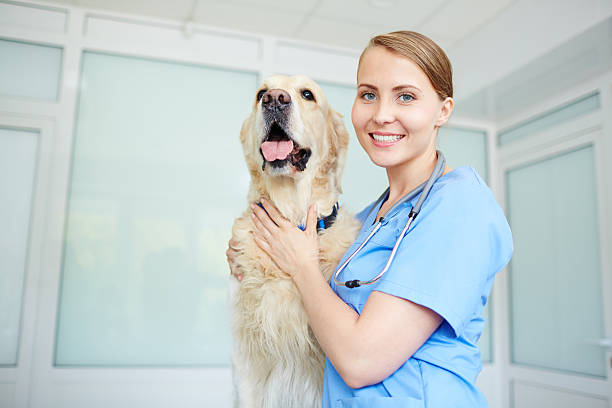 istock Veterinarian and dog 589971710