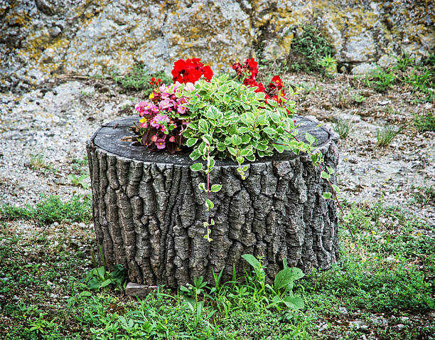 Beautiful flowers decoration on the tree stump. Vibrant colors. Seasonal natural scene.