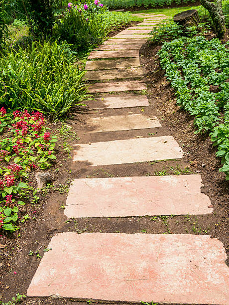 istock Walkway in the flowers garden 589975394