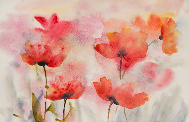 istock Red poppy flower in poppy field 589980416