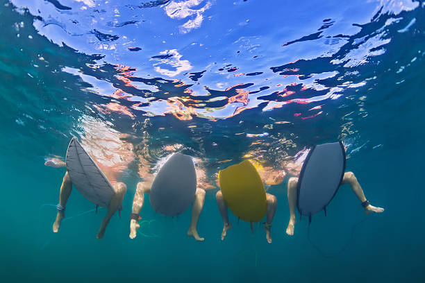 unterwasserfoto von surfern, die auf surfbrettern sitzen - surfen fotos stock-fotos und bilder