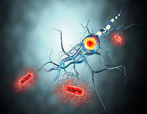 istock 3d illustration of nerve cells 589983840