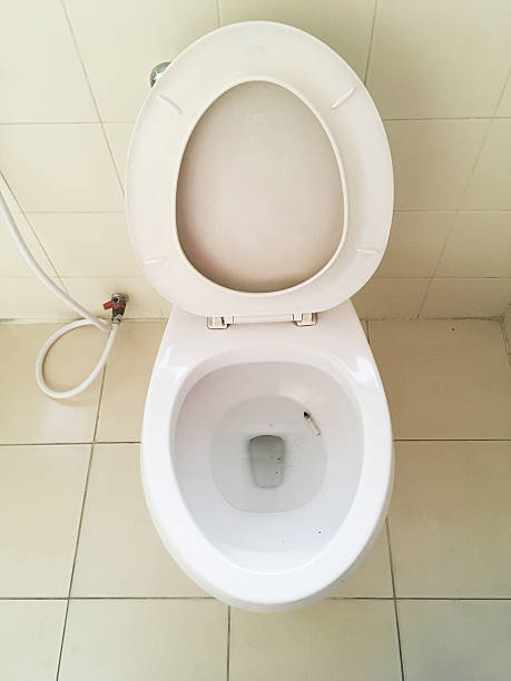 istock Cigarettes in the toilet 589983908