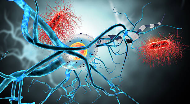 istock 3d illustration of nerve cells and viruses 589983944