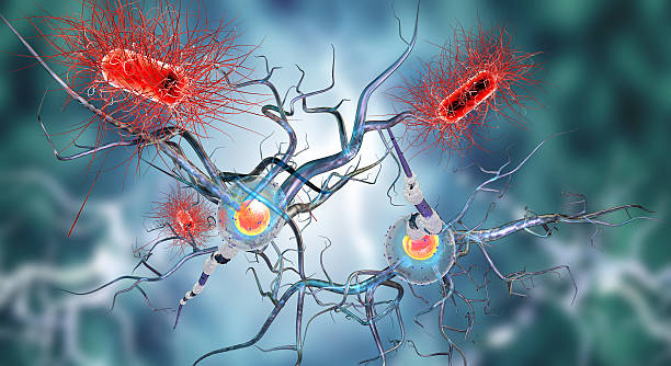 istock 3d illustration of nerve cells and viruses 589984020