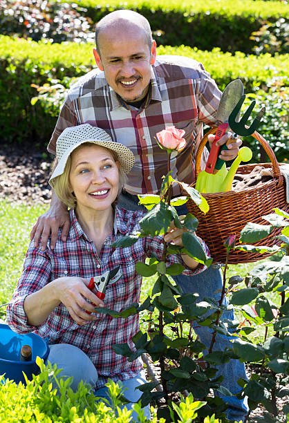 高齢者のカップル動作庭の - senior adult couple care spring ストックフォトと画像