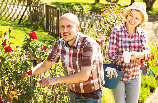 高齢者のカップル動作庭の - senior adult couple care spring ストックフォトと画像