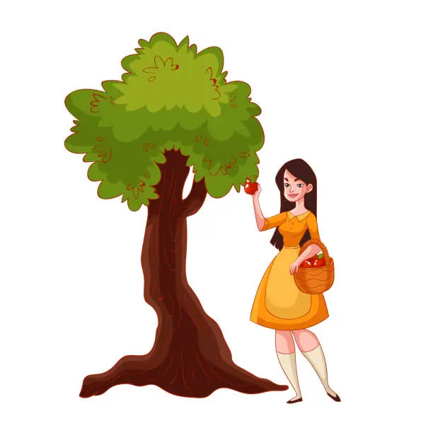 Vector illustration of Young beautiful woman picking apples in the garden