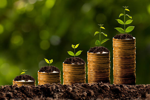 istock Money growing in soil 590033738