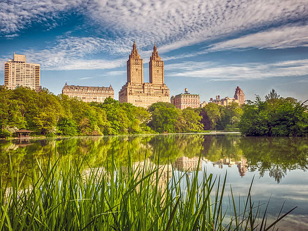 istock Central Park, New York City 590035142