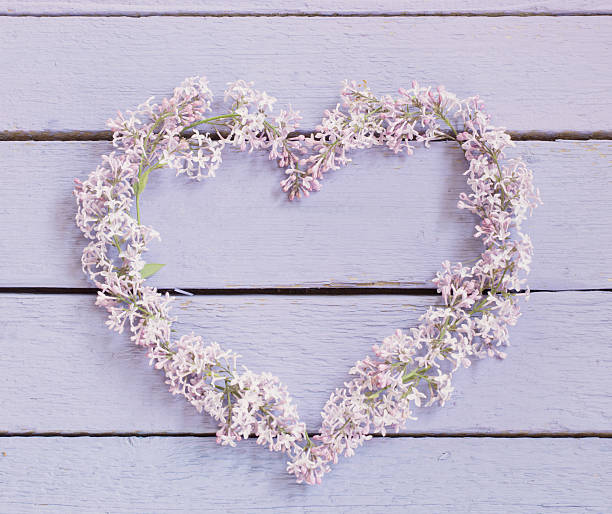 istock The beautiful lilac in a heart shape 590037530