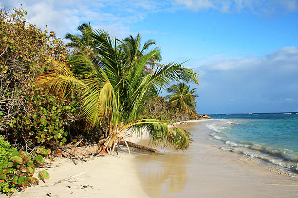 istock Flamenco beach on Culebra Island, Puerto Rico 590038464