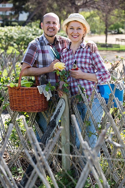 istock Elderly couple gardening in the backyard 590038974