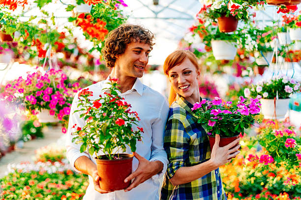 istock We take both flowers for our new home 590039880
