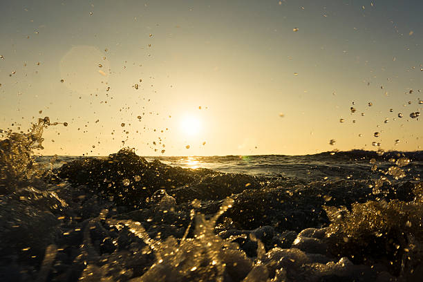 photograph taken with underwater housing at surface level of waves rolling and splashing towards the camera backlit by setting summer sun. Fistral Beach, Newquay, Cornwall.