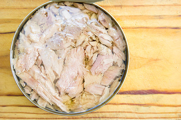 istock Tuna in oil 590044070