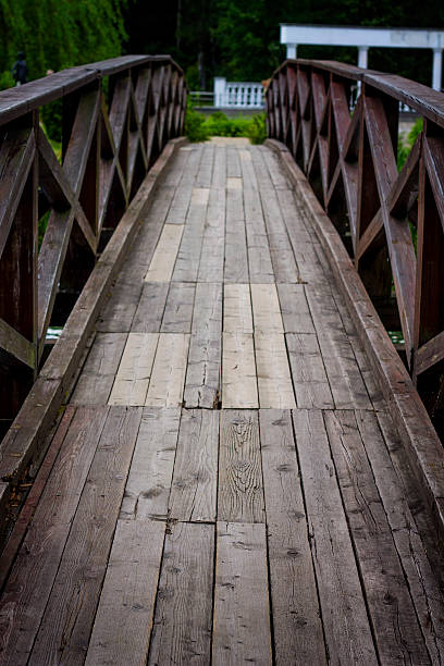 istock Wooden bridge over the river 590044210