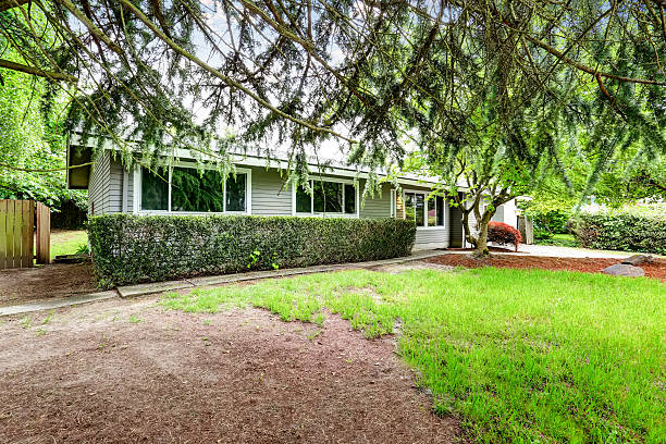 istock American one level house exterior with concrete walkway 590044808