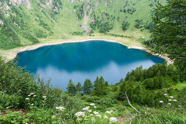istock Lake Tremorgio on Canton Ticino 590046060