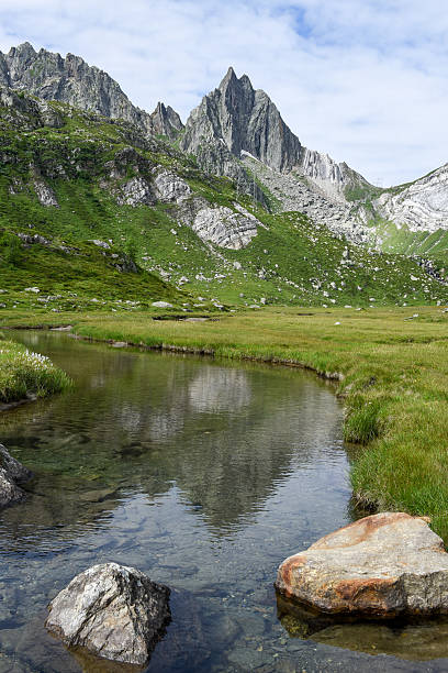 istock River over lake Tremorgio on Canton Ticino 590047528