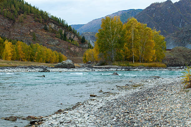 istock Autumn, Russia, Altai Mountains river Chuya 590047834