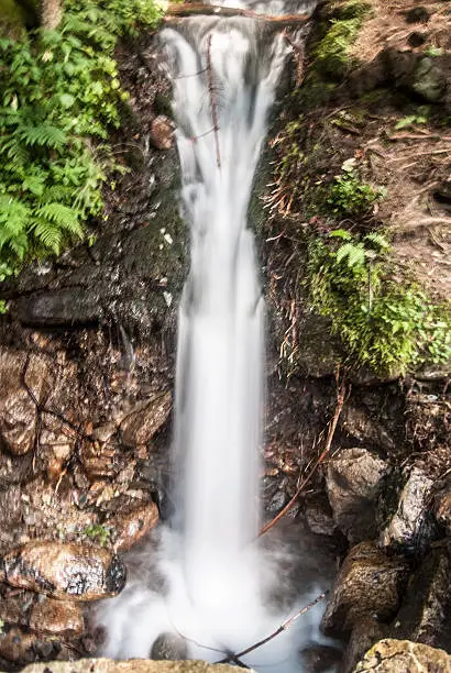 Mlecny pramen water stream in Kralicky Sneznik mountains near Horni Morava resort
