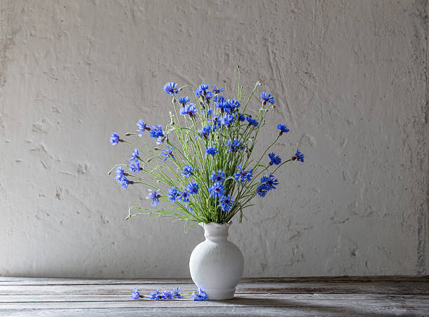 istock Beautiful blue cornflowers in vase 590048988