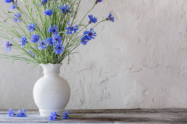 istock Beautiful blue cornflowers in vase 590049264