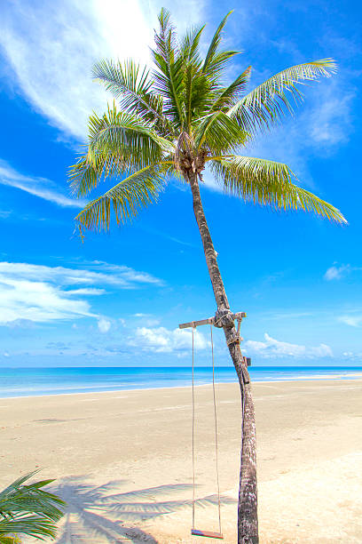 istock Thailand Koh Chang Island 590049420