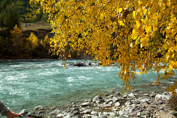 Mountain lake, Russia, Siberia, Altai mountains, Chuya ridge.