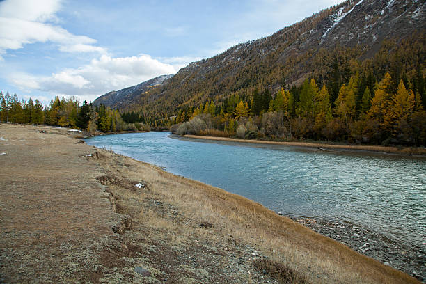 istock Autumn, Russia, Altai Mountains river Chuya 590050028