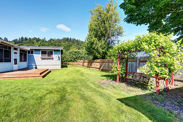 istock Fenced backyard and hanging swing with nice landscape desing. 590050854